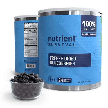 Nutrient Survival Freeze Dried Whole Blueberries with Long-Term Shelf Life – Allergen-Free