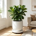 thumbnail image 4 of Support de Pot de Fleurs à Roulettes, Caddy Roulant pour Plantes, Base de Jardinière Mobile Robuste, Roue Lisse Facile à Déplacer, Support Stable Intérieur Extérieur, pour Jardin Patio Balcon Bureau à Domicile Arrangement de Plantes, 4 of 6