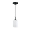 thumbnail image 2 of Westinghouse 6135400 Shamus 5" Wide Mini Pendant - Black, 2 of 5
