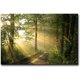 thumbnail image 1 of Decoración mural de temática forestal, con pinturas artísticas en lienzo de estilo natural y moderno, impresiones sobre lienzo con paisajes primaverales envueltos en neblina matutina., 1 of 6