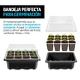 thumbnail image 3 of Charola de Germinación Redlemon con Tapa 12 Compartimentos Invernadero 10Pz, 3 of 7
