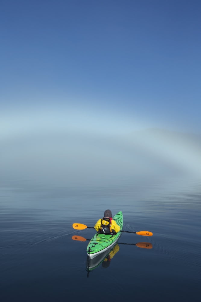 A Sea Kayaker Paddles Along The Edge Of A Thick Fog Bank In Southeast Alaskas Stephens Passage A Fog Bow Has Formed Where Water Particles Reflect The Light Of The Morning Sun Mr Ed Emswiler Id#1217201