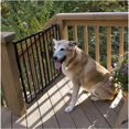 thumbnail image 1 of Cardinal SS-30OD-B Stairway Special Outdoor Pet Gate - Black, 1 of 1