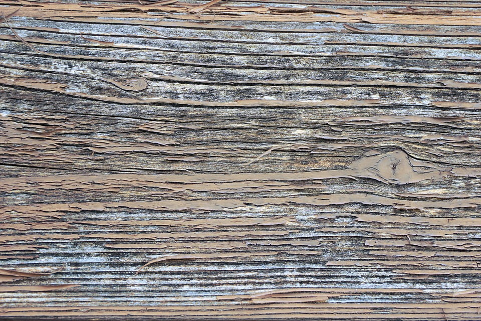 PeelnStick Poster of Background Wood Structure Pattern Texture Board