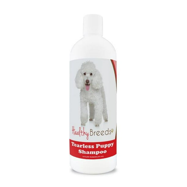 Healthy Breeds 840235112273 Caniche Sans Larmes Chiot Chien Shampooing