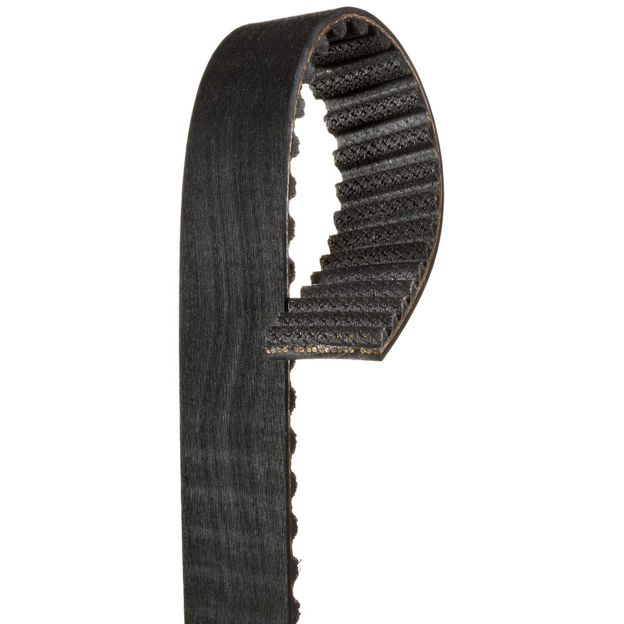 Engine Timing Belt