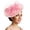 PK2, variant on SRZYMJ Floral Wedding Hat for Womens Tea Party Fascinators Kentucky Derby Hats
