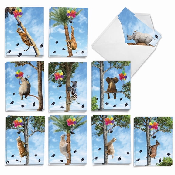 The Best Card Company 20 Assorted Graduation Notecards Box Set (Graduate) 4 x 5.12 Inch with Envelopes (10 Designs, 2 Each) Tree Animals AM10323GDG-B2x10