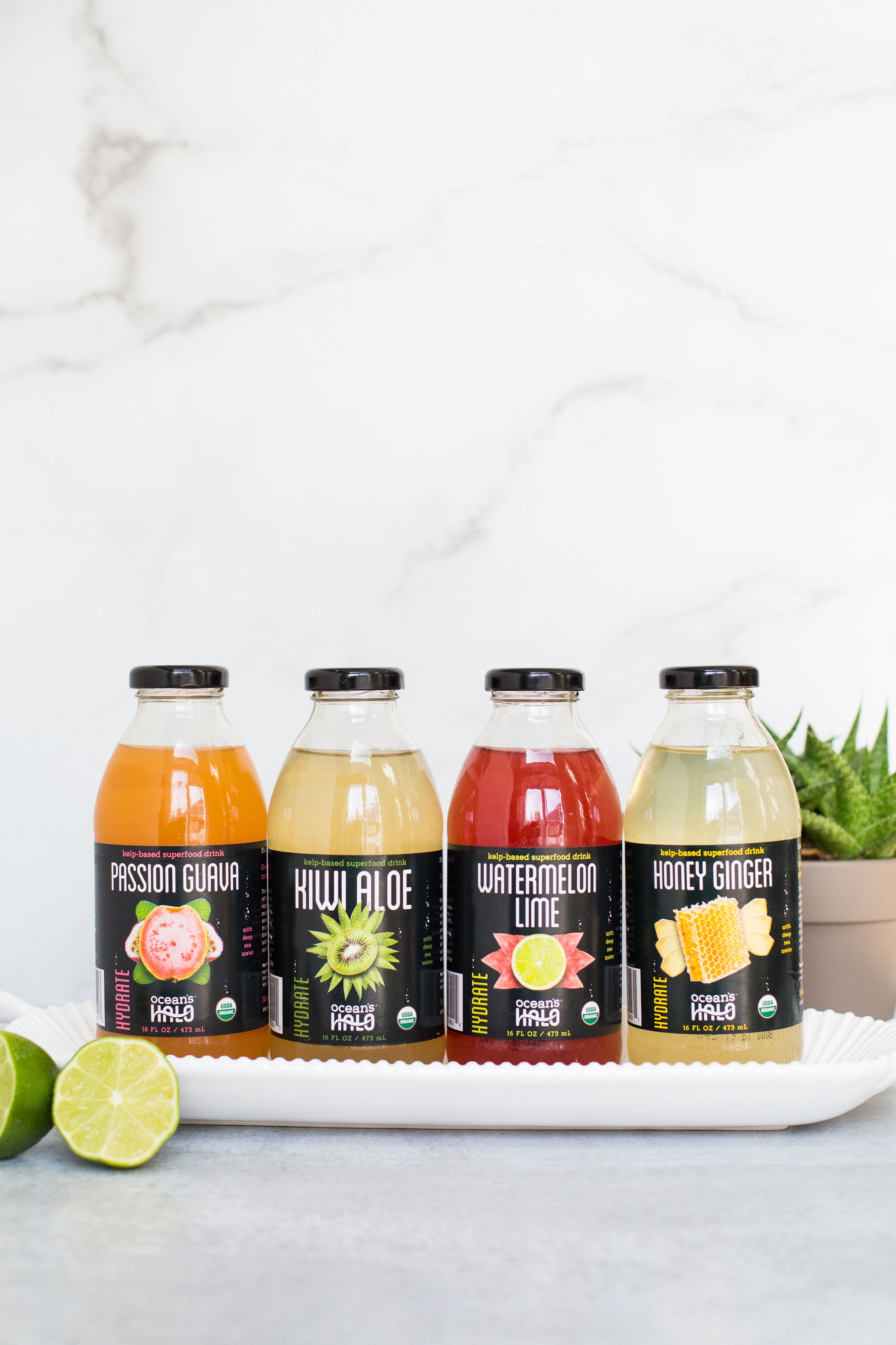 Ocean's Halo, Organic Deep Sea Water, Honey Ginger, 16oz