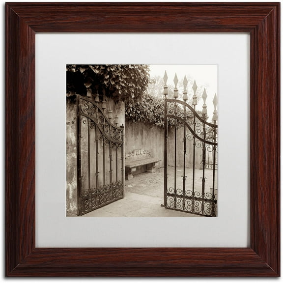 Trademark Fine Art "Avignon I" Canvas Art by Alan Blaustein, White Matte, Wood Frame