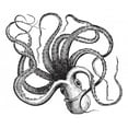 thumbnail image 2 of Common Octopus Octopus Vulgaris Wall Decal by Wallmonkeys Peel and Stick Graphic (36 in W x 31 in H) WM174464, 2 of 4
