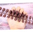 thumbnail image 1 of Charmful Women Art Consejos de uñas mate naturales Presione en parche Nail Marrón claro Yuyangstore Tabletas de mejora de uñas, 1 of 4