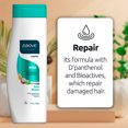 thumbnail image 3 of ABOVE Champú Reconstructor, Champú Espesante, 325 ml, 3 of 5
