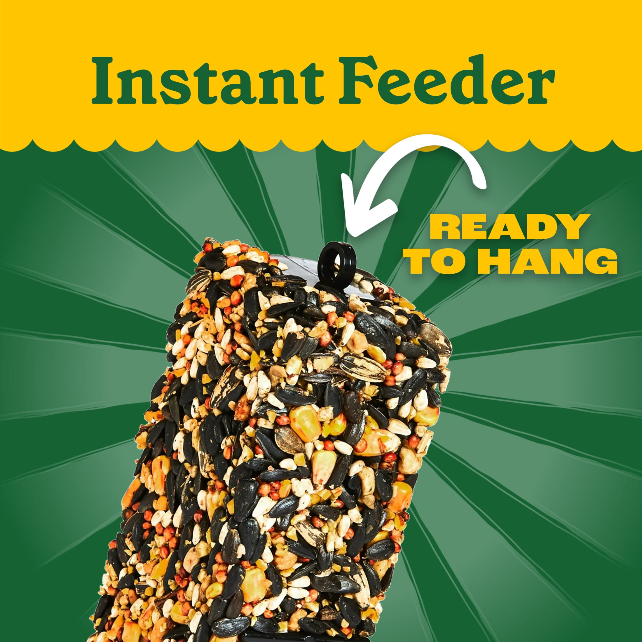 (2 pack) Pennington Woodpecker Bar Wild Dry Bird Feed and Bird Seed Cake, 11 oz., 1 Pack