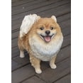 thumbnail image 5 of Hi-Line Gift 13" Pomeranian Dog Garden Statue, 5 of 8
