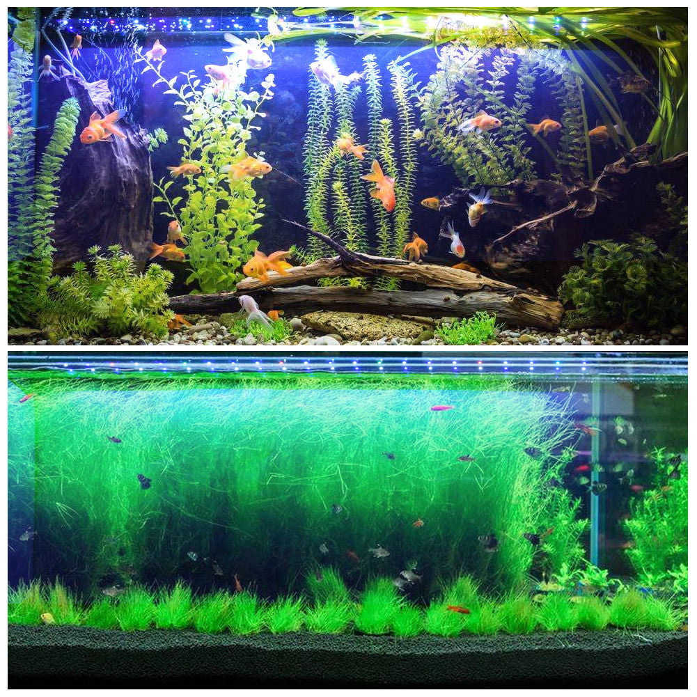 LED Aquarium Light Full Spectrum Freshwater Fish Tank Plant Marine 24 36 48 