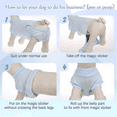 thumbnail image 6 of QBLEEV Recovery Suit for Dogs After Surgery, Alternative E-Collars Bandages, Professional Surgical Pet Wear Shirts for Abdominal Wounds and Skin Diseases…Light Blue,M, 6 of 7