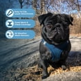 thumbnail image 2 of Arnés para perros Best Pet Supplies Voyager Step-in Air Blue L, 2 of 7