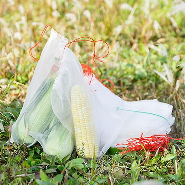 Mesh sweet corn bags deals