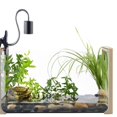 thumbnail image 3 of Flexible Clamp, Lizard Temperature Adjustable Heat Lamp, For Reptiles For Aquarium Lizard  For Pet, 3 of 8