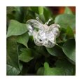 thumbnail image 1 of CAROOTU Cute Automatic Flower Watering Device Glass Self-Watering Stakes Plant Glass Waterer Automatic, 1 of 6