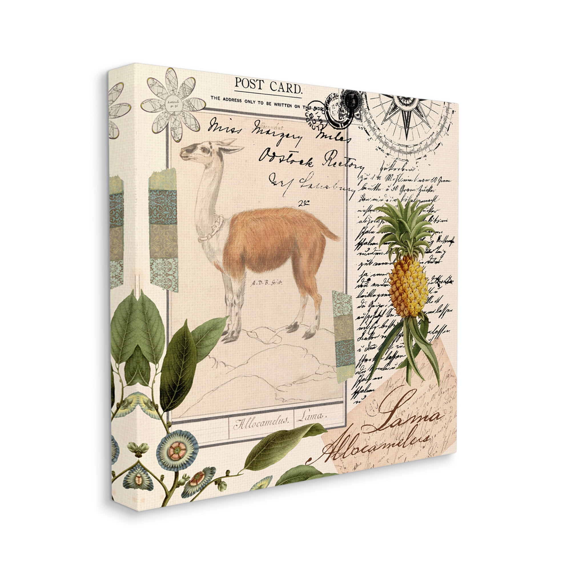 Stupell Industries Vintage Antelope Postcard Animals & Insects Painting Gallery Wrapped Canvas Art Print Wall Art, 36 x 36