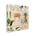 thumbnail image 4 of Stupell Industries Vintage Antelope Postcard Animals & Insects Painting Gallery Wrapped Canvas Art Print Wall Art, 30 x 30, 4 of 8