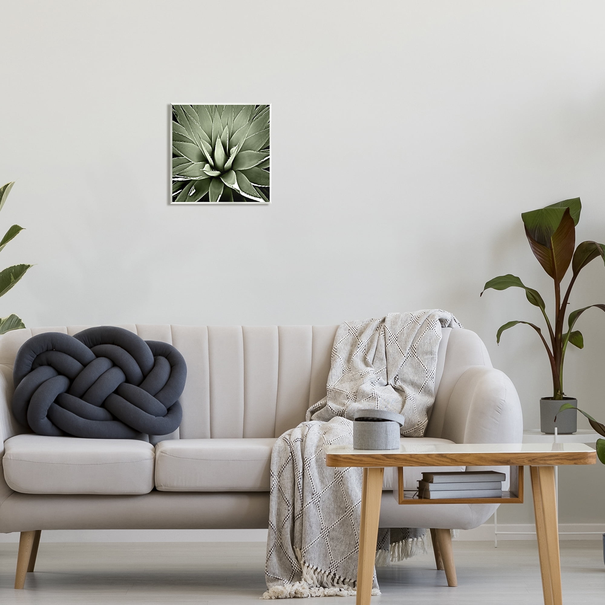 Stupell Industries Succulent Plant Lush Leaves Botanical & Floral Painting Unframed Art Print Wall Art