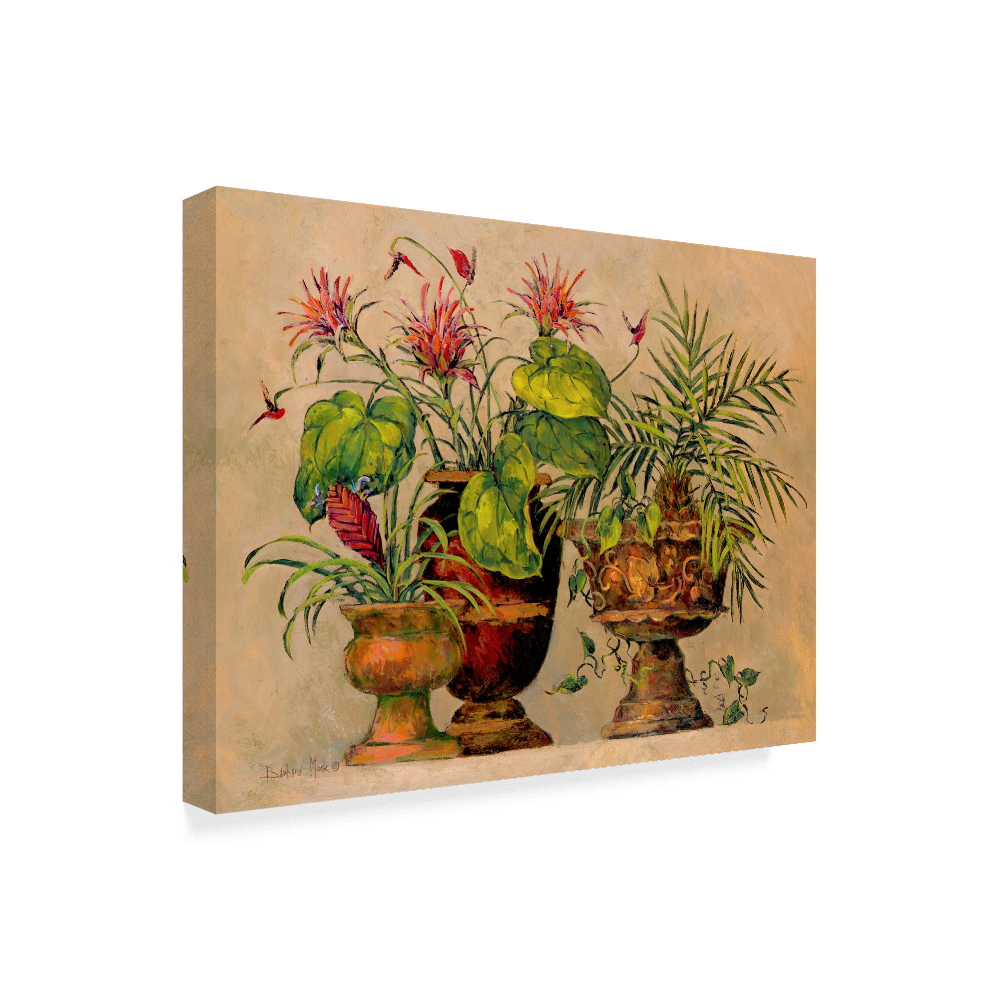Trademark Fine Art ' A Taste of the Tropics' Canvas Art by Barbara Mock
