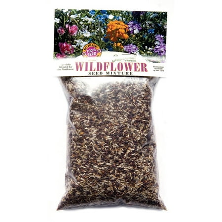 Environmental Seed #25 1-Pound Pacific Northwest Mix - Walmart.com