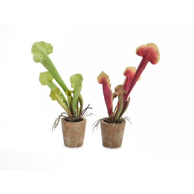Melrose International 70647 Cobra en Pot 13 Po. Polyester & Plastique & Terracotta, Vert Rouge - Ensemble de 6
