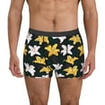 thumbnail image 2 of Bingfone Lilies Flowers Men's Underwear - Casual Stretch Boxer Briefs-Large, 2 of 7