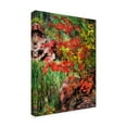 thumbnail image 2 of Trademark Fine Art 'Peaceful Woods I' Canvas Art by David Drost, 2 of 4