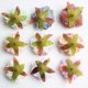 thumbnail image 4 of Cabeza de flor de bráctea de rosa de seda artificial de 10 piezas para decoración de boda de sombreros de bricolaje Mezclado Sunnimix Cabeza de flor, 4 of 7