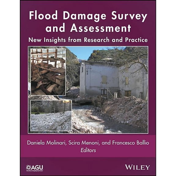 Geophysical Monograph: Flood Damage Survey and Assessment: New Insights from Research and Practice (Hardcover)