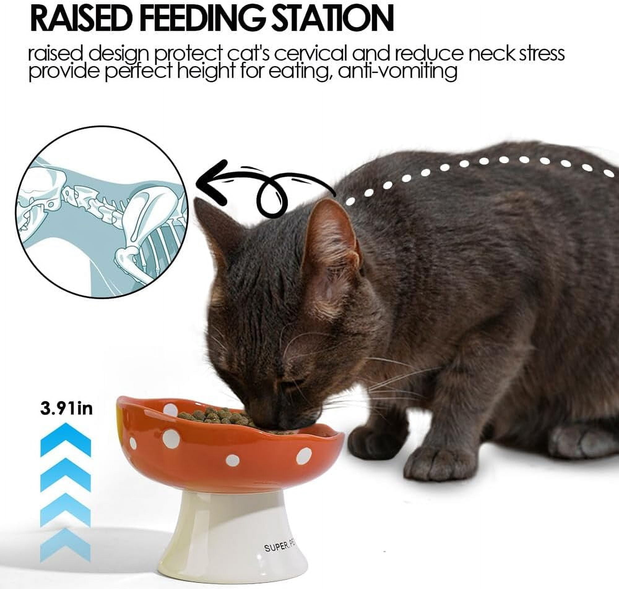 Ceramic Elevated Cat Bowls, Tilted Raised Pet Dish Anti Vomit Kitten Bowl for Indoor Cats, Whisker Friendly Pet Food and Water Bowl for Kitten, Cat, Puppies, Dishwasher Safe (Orange)