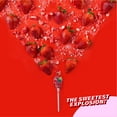 thumbnail image 5 of Colombina Bon Bon Bum Lollipops w/Bubble Gum Center - Classic Strawberry Flavor, 2 Pack of Individually Wrapped Gluten Free Pops, Ideal Holiday Candy and Party Favors, 14.4 oz bag, (48 count), 5 of 7