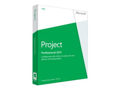 microsoft project pro 2013