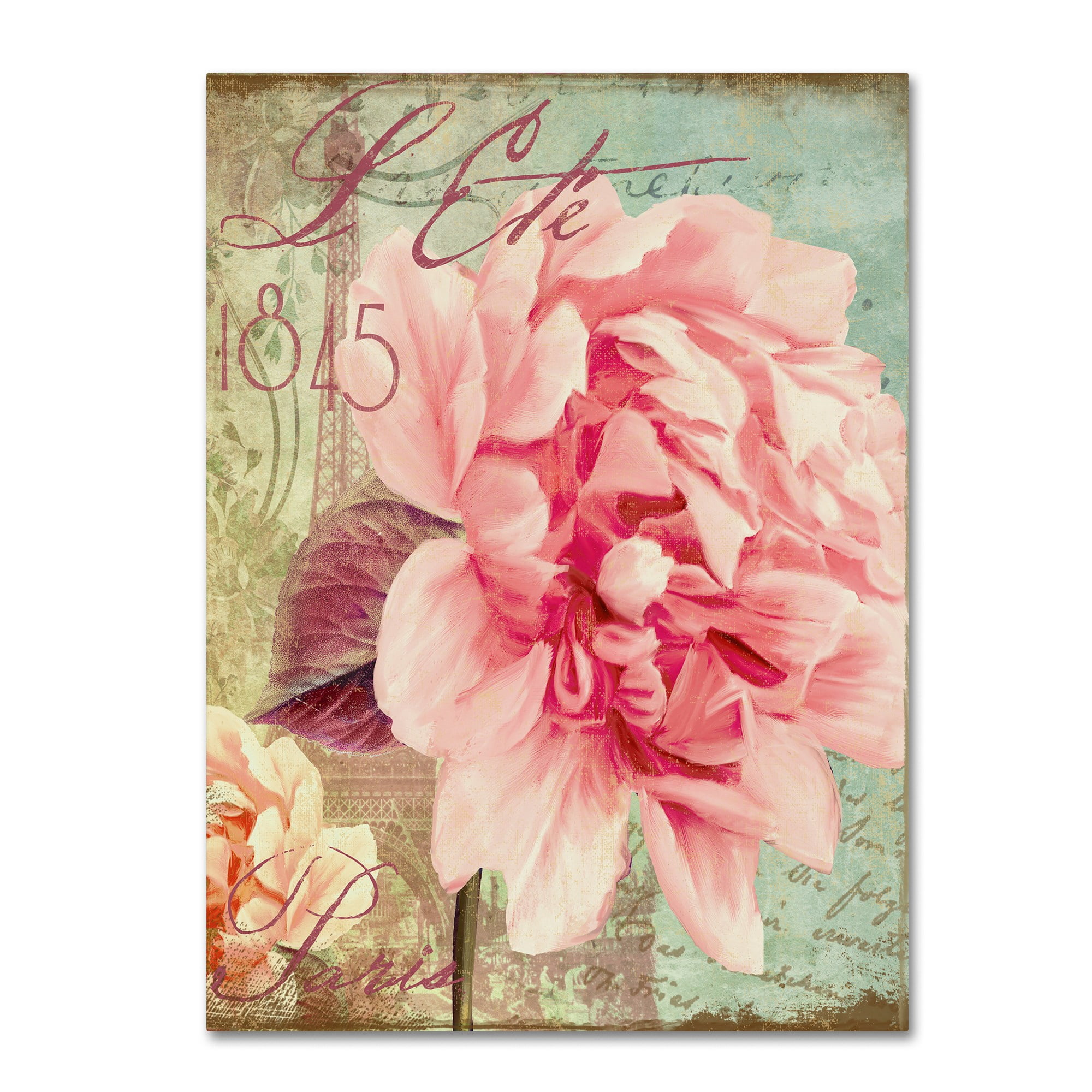 Trademark Fine Art "Saisons III" Canvas Art by Color Bakery