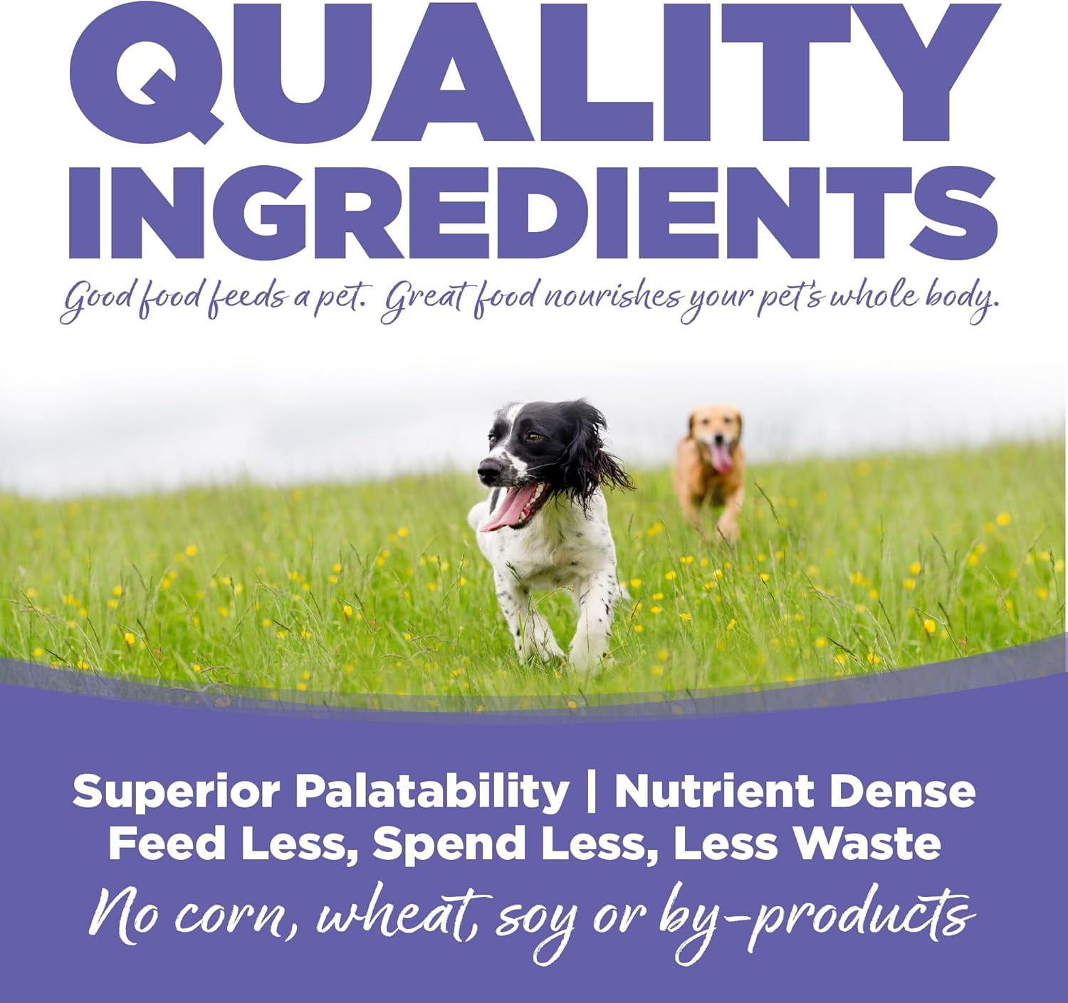 NutriSource Small & Medium Breed Puppy Chicken Meal & Rice Recipe Dog Food 4 lb