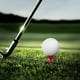 thumbnail image 3 of Juego de soporte de clavos para bolas de golf 10 piezas | Camisetas no limitantes de plástico estilo vidrio para baja resistencia | Multicolor | Material duradero de PE | Colocación estable y, 3 of 5