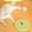 Green-Free Size/GN, variant on Self Play Cat Toy Spring Ball Tree Climbing Frame Scratching Post for Boredom