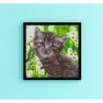 thumbnail image 3 of Diamond Art By Leisure Arts Diamond Painting Kits For Adults 12"X12" Intermediate Kitten, Full Drill, Art Kits, Dimond Art, For Adults, Kit, 3 of 4