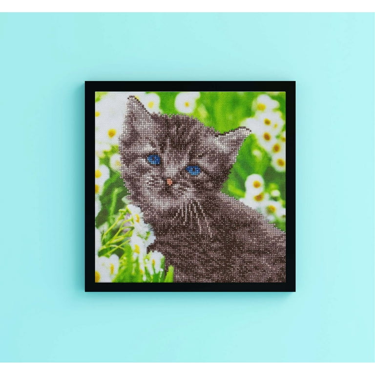  Diamond Painting Cat Kit - Diamond Art Kit for Adults