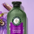 Herbal Essences Passion Flower Sulfate Free Shampoo Volume 13.5 fl oz
