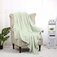 thumbnail image 3 of PiccoCasa Flannel Fleece Blanket for Sofa or Bed, Pale Green 50"x60", 3 of 6