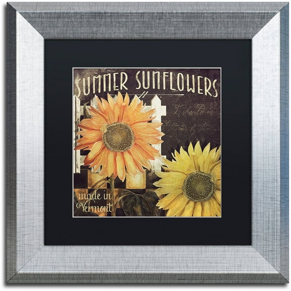 Trademark Fine Art "Vermont Farms XI" Canvas Art by Color Bakery Black Matte, Silver Frame