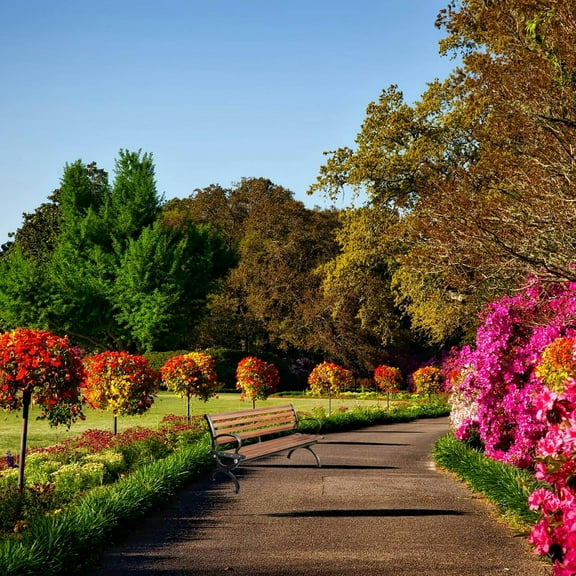 WHAMVOX DIY Outdoor Chair Feet Park Bench Chair Iron Legs Replacement Parts for Garden Patio Outdoor Park Chair Furniture Accessories