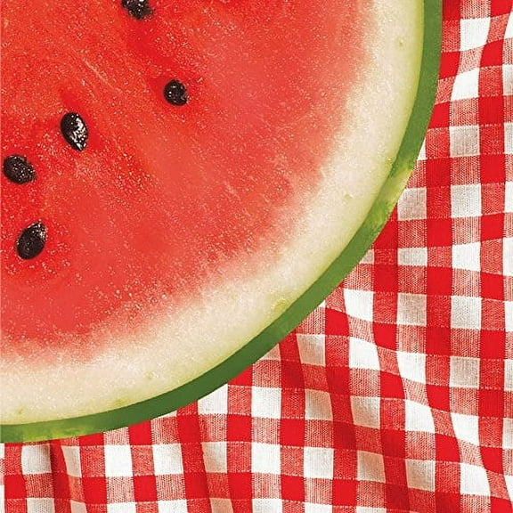Creative Converting 18 Count Lunch Napkins, Watermelon Check