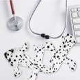 thumbnail image 4 of Stethoscope Cover Cartoon Animal Stethoscope Sleeve Stethoscope Protective Cover for Nurses Doctors, 4 of 9